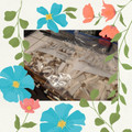 ダッフィーニーうに's cooksnap of when they made △▼きのこ冷凍保存▼△.