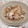 SakuranboX's cooksnap of when they made 簡単！やりいかと玉ねぎのにんにく炒め.
