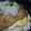 みっこ坊主's cooksnap of when they made さっぱり！ガッツリ！おろしカツ丼♡.