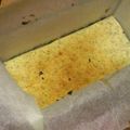 ﾏﾃｨｺ's cooksnap of when they made 生クリームなし♪あっさり紅茶チーズケーキ.