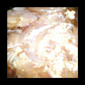 あみさくら's cooksnap of when they made とろうまっ！ちくわと新たまねぎの卵とじ丼.