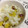 まぷりん☆'s cooksnap of when they made 簡単♪さつまいもごはん★.