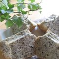 碧生空's cooksnap of when they made ほろ酔い♫ごまかシフォンケーキ.