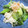 tamamiya55's cooksnap of when they made 乾燥えのきと小松菜とたらこのあえ物.