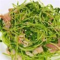 さなもーたん's cooksnap of when they made 簡単！豆苗のベーコン炒め.