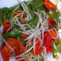 みどりの首輪's cooksnap of when they made もやしとピーマンの炒め物♪.