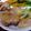 甘えん坊mämä's cooksnap of when they made ねぎ塩チキン☆.