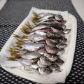たまさぶろうの部屋's cooksnap of when they made 私流・小あじ(豆あじ)の下処理・さばき方.