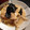 Walnut1107's cooksnap of when they made もやしとたまごとめんつゆ！.