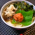 nekoland's cooksnap of when they made あっさり～梅ぇわかめうどん.