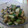 lastorder＊'s cooksnap of when they made 茄子ときゅうりのめんつゆ漬け.
