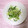バウンド's cooksnap of when they made 簡単ヘルシー水菜とじゃこのシャキっと炒め.