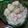 すちっぷ's cooksnap of when they made ☆うさぎさんこんにちは♪お月見サラダ☆.