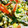 koroo16's cooksnap of when they made ニラと卵の野菜炒め.