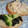きらり流れ星's cooksnap of when they made 貝柱とチーズのワサビマヨ和え.