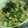 ユーロン's cooksnap of when they made 豆乳だしの冷やしそうめん☆.