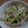 ﾘｴﾀﾝ's cooksnap of when they made 配合簡単★胡瓜とモヤシのサラダ.
