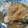 ミル丸ママ's cooksnap of when they made さんまのおろし煮.