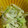 ｍｙj's cooksnap of when they made ★きゃべつともやしのごまマヨ　*Ym*.