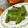 mokun's cooksnap of when they made ししとうの醤油焼き.