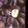 福たろう's cooksnap of when they made ズボラでいいんです♪栗のゆがき方♪.