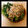 ﾒｲﾛｰｽﾞちゃん's cooksnap of when they made 簡単☆小松菜のおひたし.