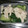 ココまる★☆♪'s cooksnap of when they made ささみときゅうりの和風ナムル！.