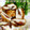 clovers＊'s cooksnap of when they made さっぱりと鶏ささみの梅シソ焼き.