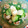 ノトさん's cooksnap of when they made ◆５分副菜　きゅうり＆らっきょの酢の物◆.