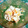 ノトさん's cooksnap of when they made デザートみたい♪チーズ風味の柿の白和え　.