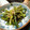chikau's cooksnap of when they made 超簡単♪　空芯菜の中華風炒め物.