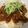 りこりゃんママ's cooksnap of when they made 肉味噌がおいしい♡ジャージャー麺.