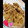 Rin085's cooksnap of when they made お肉柔らか☆玉ねぎも一緒に豚の生姜焼き.