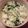 食いしん坊山ガール's cooksnap of when they made 塩麹☆大根の葉っぱで菜めし.