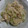 康丈ママ's cooksnap of when they made とっても簡単！美味♡みょうがの酢みそ和え.