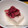 ＊サトコママ＊'s cooksnap of when they made みょうがの梅肉和え.