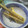 ゆかゆかゆか1186's cooksnap of when they made ごぼうの超簡単な洗い方☆.