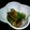arow's cooksnap of when they made たたききゅうりのさっぱり漬け.