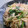 勇気凛りん岸田夕子's cooksnap of when they made 簡単☆くりーむすぱ.