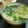 もんタロス's cooksnap of when they made フライパンで簡単☆子供が一気！茶碗蒸し♪.
