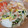 クックHBQ370☆'s cooksnap of when they made かつお節香る白菜と豚ばら肉のうま煮.