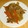yuri1919's cooksnap of when they made 豚肉の生姜焼き Part2.