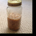 Hanapecha3's cooksnap of when they made おうちで簡単！手作りなめ茸.