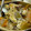 kinocoo's cooksnap of when they made 和風アクアパッツァ.