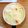ほずﾃｨｱﾗ's cooksnap of when they made 簡単！マカロニグラタン.