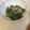 トカゲマニア's cooksnap of when they made 簡単すぎるほうれん草のごま和え.