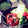 atsu1217's cooksnap of when they made 鶏むね肉とピーマンのマヨごま炒め.