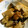 ユキノヒ。's cooksnap of when they made 鶏の味噌ピーマヨ炒め.