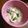 hatchxoxo's cooksnap of when they made ♢キノコのスープ粥♢.