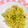 くしかお's cooksnap of when they made 簡単♪アボカドマヨとろうどん.